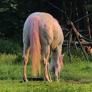 Meet your Posher, Michele